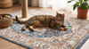 The Ultimate Cat Rug Guide: Best Cat-Friendly Rugs for Your Home